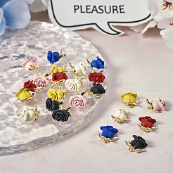 24 шт. 6 цвета окрашенные распылением подвески из сплава&nbsp;FIND-TA0003-29