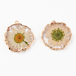 Подвески из смолы&nbsp;RESI-R428-004