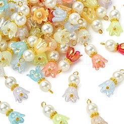 100шт 10 цвета акриловые подвески&nbsp;PALLOY-CJ00058