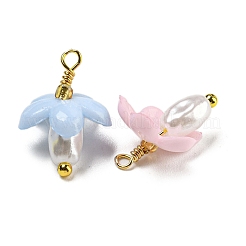 Абс пластмассовые жемчужные подвески&nbsp;KK-C046-04