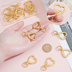 15 шт. Поворотные застежки из сплава&nbsp;FIND-UN0007-75G