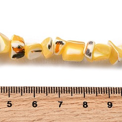 Нити бусин из натуральных трохоидных/трохус ракушек&nbsp;SHEL-B003-02H