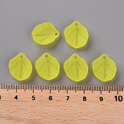 Прозрачные матовые акриловые подвески&nbsp;MACR-S371-02A-717