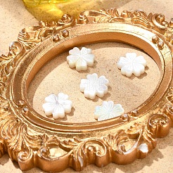 5шт натуральные белые бусины из ракушек&nbsp;BSHE-CJ0001-11