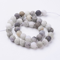 Природные бамбуковых листьев агат бисер нитей&nbsp;G-J376-13F-10mm