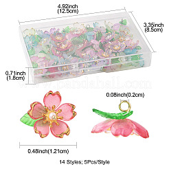 70шт прозрачные акриловые подвески&nbsp;PALLOY-FS00050