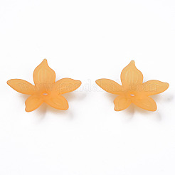 Прозрачные акриловые бусины&nbsp;MACR-S373-127-D05