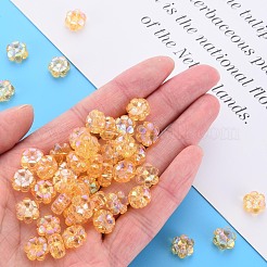 Прозрачные акриловые бусины&nbsp;MACR-S373-06-C05