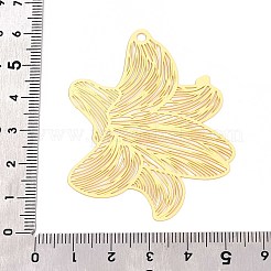 Латунные большие кулоны&nbsp;KKC-T003-42G