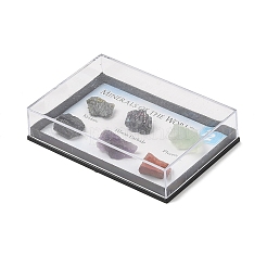 Самородки необработанные необработанные коллекции натуральных камней&nbsp;AJEW-A055-03