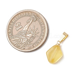 Подвески из натурального янтаря&nbsp;PALLOY-JF05157