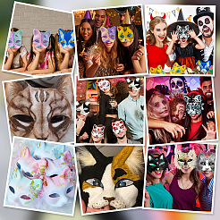 Наборы для маскарадных масок своими руками&nbsp;AJEW-WR0002-84