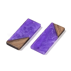 Подвески из смолы и дерева&nbsp;WOOD-F015-09B