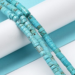 Природные Говлит бисер нитей&nbsp;G-E604-A02-B