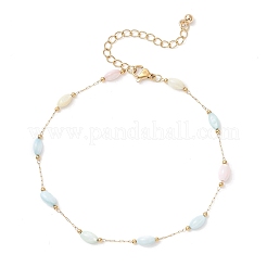 Браслеты на ногу из натуральной ракушки из окрашенного риса и нержавеющей стали 304&nbsp;AJEW-AN00727