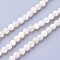 Shell Beads Strands, Faceted, Round, 3~3.5mm, Hole: 0.5mm, about 115~130pcs/strand, 14.5~16.1 inch(37~41cm)