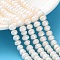 Natural Cultured Freshwater Pearl Beads Strands, Rondelle, Grade 2A, Old Lace, 7~8mm, Hole: 0.7~0.8mm, about 61~82pcs/strand, 13.46''~14.69''(34.2~37.3cm)