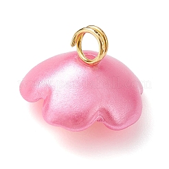 Подвески из непрозрачной смолы&nbsp;PALLOY-JF02214