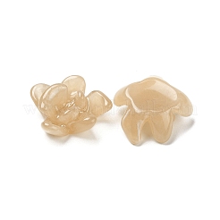 Непрозрачная смола декодирует кабошоны&nbsp;REST-M040-01C