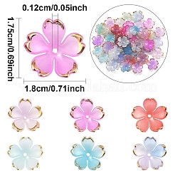 120шт 6 цвета акриловые колпачки для бусин&nbsp;OACR-YW0002-32