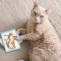 Изготовленные на заказ прозрачные штампы из ПВХ на летнюю тематику&nbsp;DIY-WH0631-0643