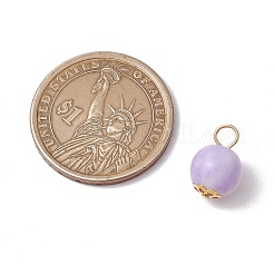 20 шт. Непрозрачные акриловые подвески&nbsp;PALLOY-JF03539