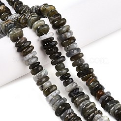 Природные лабрадорита бисер нитей G-T141-09