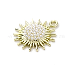 Подвески из сплава &nbsp;LS-ENAM-F152-04G