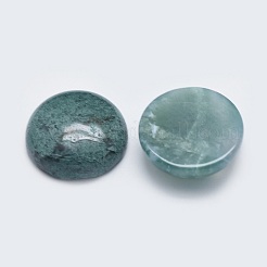 Природные моховой агат кабошонов G-G760-B02-18