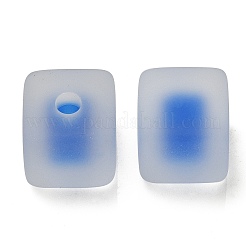 Матовые акриловые европейские бусины&nbsp;OACR-G012-14E