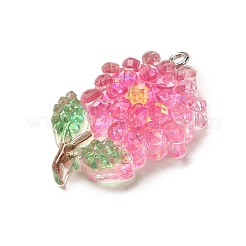 Подвески из смолы&nbsp;LS-RESI-Q012-02B