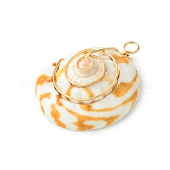 Подвески из натуральной ракушки-глаза Шивы&nbsp;PALLOY-TA00185