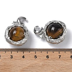 Природных тигровый глаз подвески&nbsp;G-A298-02P-10