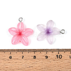 Прозрачные смоляные подвески&nbsp;RESI-N050-02P