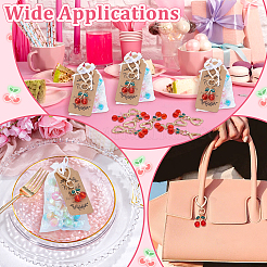 30 шт. подвесные украшения из вишневой смолы&nbsp;HJEW-DR00253