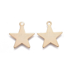 201 подвеска из нержавеющей стали&nbsp;STAS-F192-048G