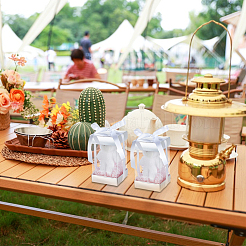 10 шт. прямоугольных прозрачных пластиковых подарочных упаковочных коробок с бумажным верхом и низом&nbsp;CON-WH0099-96A