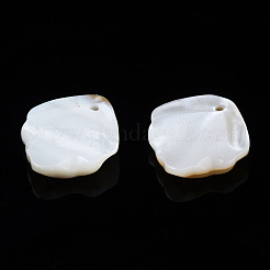 Природные подвески оболочки пресноводных&nbsp;SHEL-S278-045