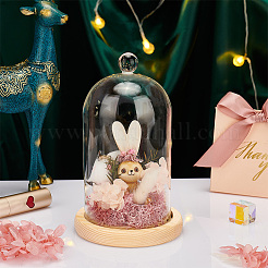 Стеклянный купол&nbsp;AJEW-WH0307-75A