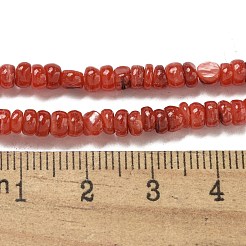 Окрашенные нити бусин из натуральных пресноводных ракушек&nbsp;BSHE-G039-07K