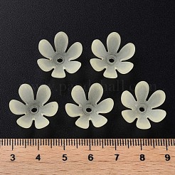 Прозрачные акриловые бусины&nbsp;MACR-S373-47-D03