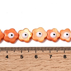 Окрашенные нити бусин из натуральных пресноводных ракушек&nbsp;SHEL-A006-03D