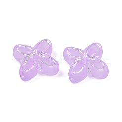 Матовые прозрачные акриловые бусины&nbsp;OACR-P029-09B-04