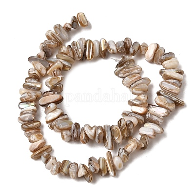 Нити бусин из натуральных пресноводных ракушек&nbsp;SHEL-A006-05-1