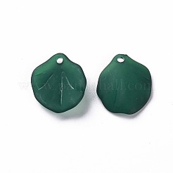 Прозрачные матовые акриловые подвески&nbsp;MACR-S371-02A-735