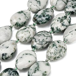 Натурального дерева агат бисер нитей&nbsp;G-NH0068-01