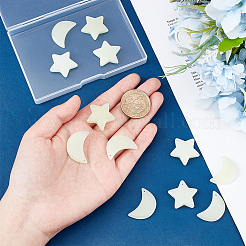 12 шт. подвески из синтетического светящегося камня в двух стилях&nbsp;G-GA0001-64B