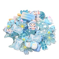 30шт 10 стиля подвески из непрозрачной и прозрачной смолы&nbsp;RESI-CJ0003-02