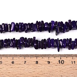 Нити бусин из натуральных пресноводных ракушек&nbsp;SHEL-T020-40B