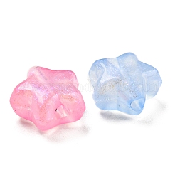 Светящиеся акриловые бусины&nbsp;X-MACR-D024-24